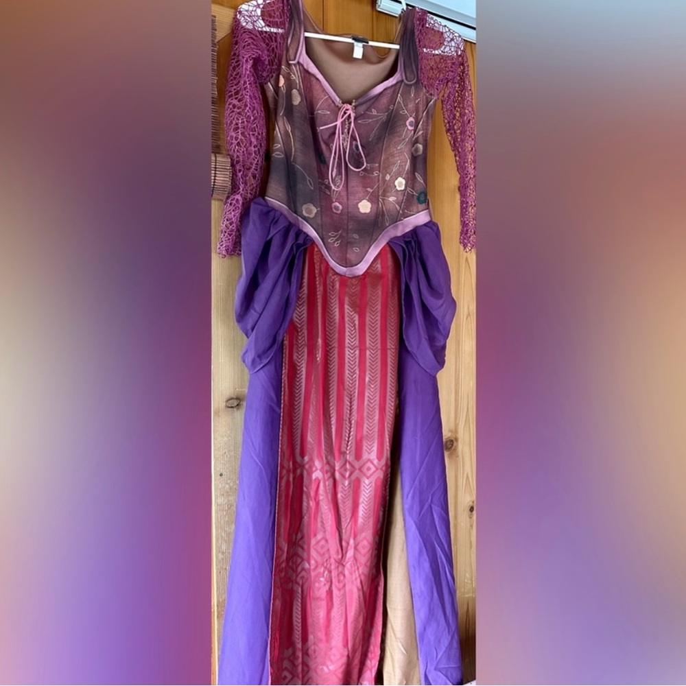 Disney Hocus Pocus Sarah Sanderson Halloween Costume Bodice Top Size Small S/M
